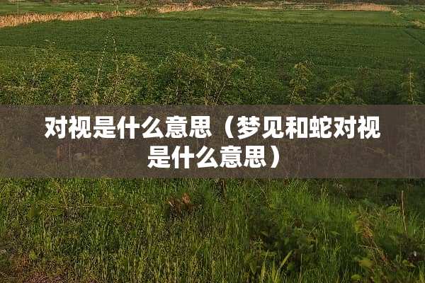 对视是什么意思(梦见和蛇对视是什么意思) 对视是什么意思(梦见和蛇对视是什么意思)