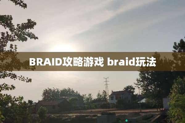 BRAID攻略游戏 braid玩法 BRAID攻略游戏 braid玩法