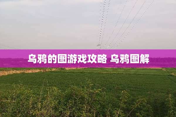 乌鸦的图游戏攻略 乌鸦图解 乌鸦的图游戏攻略 乌鸦图解
