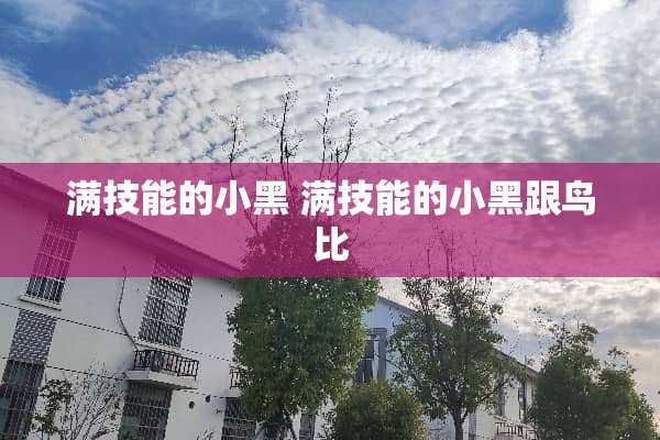 满技能的小黑 满技能的小黑跟鸟比 满技能的小黑 满技能的小黑跟鸟比