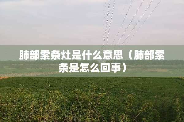 肺部索条灶是什么意思(肺部索条是怎么回事) 肺部索条灶是什么意思(肺部索条是怎么回事)