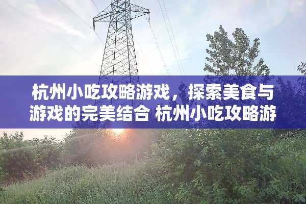 杭州小吃攻略游戏,探索美食与游戏的完美结合 杭州小吃攻略游戏 杭州小吃攻略游戏,探索美食与游戏的完美结合 杭州小吃攻略游戏