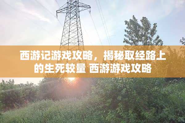 西游记游戏攻略，揭秘取经路上的生死较量 西游游戏攻略