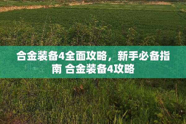 合金装备4全面攻略,新手必备指南 合金装备4攻略 合金装备4全面攻略,新手必备指南 合金装备4攻略