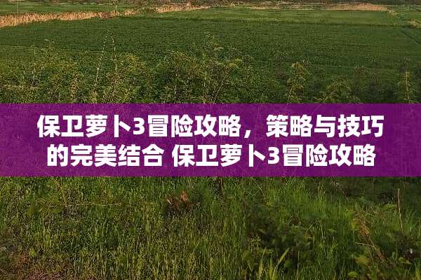 保卫萝卜3冒险攻略,策略与技巧的完美结合 保卫萝卜3冒险攻略 保卫萝卜3冒险攻略,策略与技巧的完美结合 保卫萝卜3冒险攻略