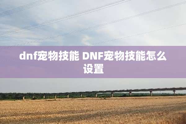 dnf宠物技能 DNF宠物技能怎么设置 dnf宠物技能 DNF宠物技能怎么设置