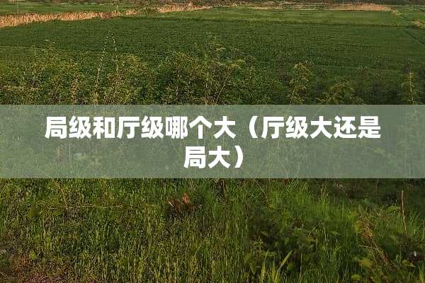 局级和厅级哪个大(厅级大还是局大) 局级和厅级哪个大(厅级大还是局大)