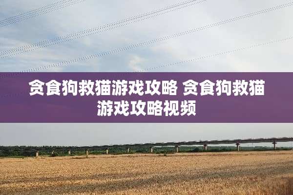 贪食狗救猫游戏攻略 贪食狗救猫游戏攻略视频