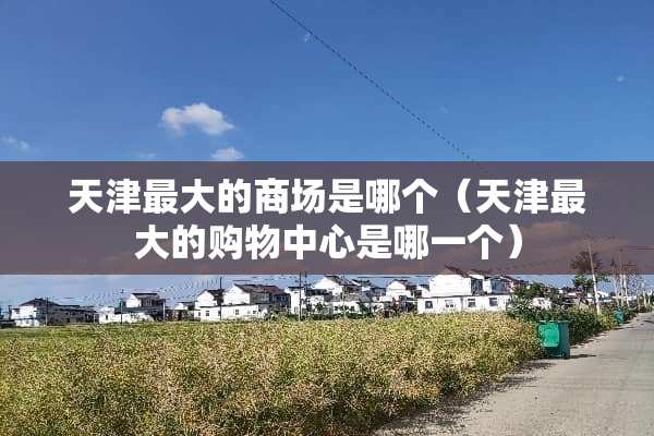 天津最大的商场是哪个（天津最大的购物中心是哪一个）