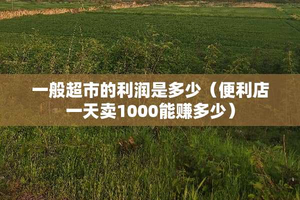 一般超市的利润是多少(便利店一天卖1000能赚多少) 一般超市的利润是多少(便利店一天卖1000能赚多少)