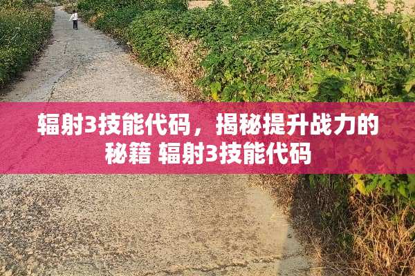 辐射3技能代码,揭秘提升战力的秘籍 辐射3技能代码 辐射3技能代码,揭秘提升战力的秘籍 辐射3技能代码