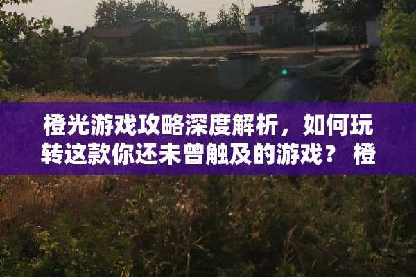 橙光游戏攻略深度解析，如何玩转这款你还未曾触及的游戏？ 橙光游戏攻略贴吧