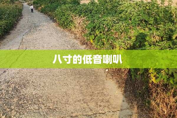 八寸的低音喇叭 