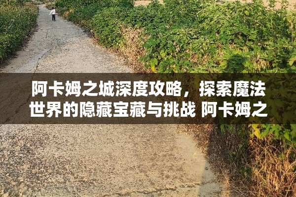 阿卡姆之城深度攻略，探索魔法世界的隐藏宝藏与挑战 阿卡姆之城攻略