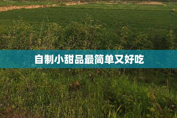 自制小甜品最简单又好吃