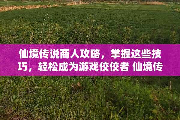 仙境传说商人攻略,掌握这些技巧,轻松成为游戏佼佼者 仙境传说商人攻略 仙境传说商人攻略,掌握这些技巧,轻松成为游戏佼佼者 仙境传说商人攻略