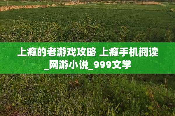 上瘾的老游戏攻略 上瘾手机阅读_网游小说_999文学 上瘾的老游戏攻略 上瘾手机阅读_网游小说_999文学