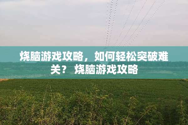 烧脑游戏攻略，如何轻松突破难关？ 烧脑游戏攻略