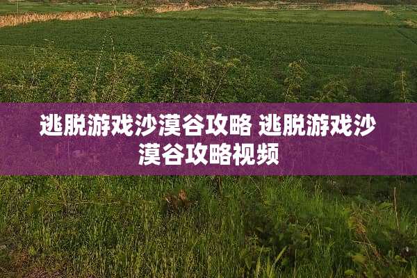 逃脱游戏沙漠谷攻略 逃脱游戏沙漠谷攻略视频