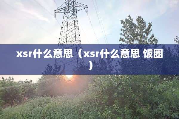 xsr什么意思（xsr什么意思 饭圈）