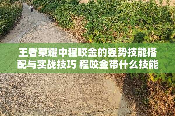 王者荣耀中程咬金的强势技能搭配与实战技巧 程咬金带什么技能 王者荣耀中程咬金的强势技能搭配与实战技巧 程咬金带什么技能