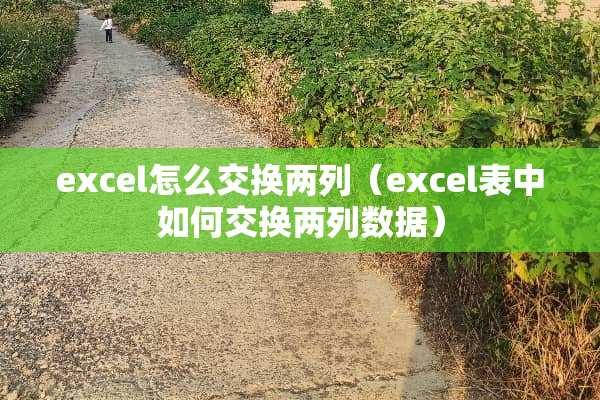 excel怎么交换两列（excel表中如何交换两列数据）