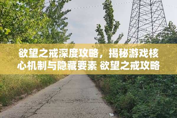 **之戒深度攻略，揭秘游戏核心机制与隐藏要素**之戒攻略
