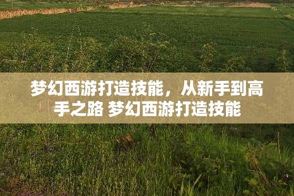 梦幻西游打造技能，从新手到高手之路 梦幻西游打造技能