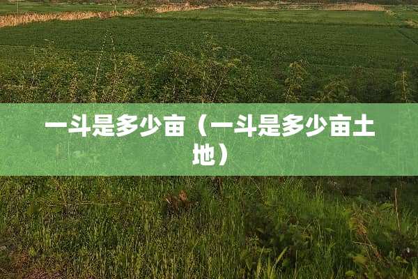 一斗是多少亩（一斗是多少亩土地）
