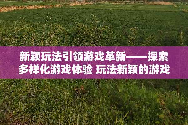 新颖玩法引领游戏革新——探索多样化游戏体验 玩法新颖的游戏