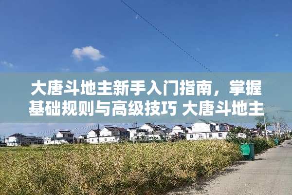 大唐***新手入门指南，掌握基础规则与高级技巧 大唐***怎么玩法