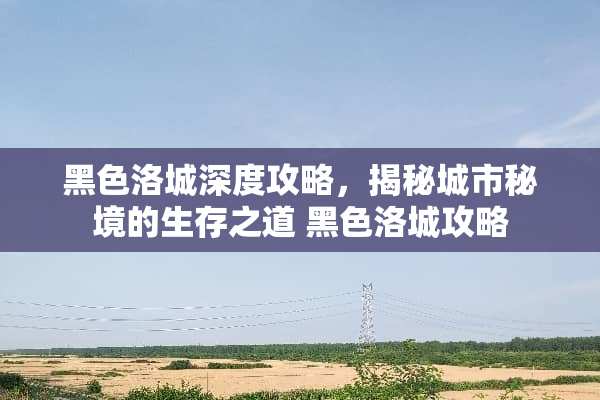 黑色洛城深度攻略，揭秘城市秘境的生存之道 黑色洛城攻略