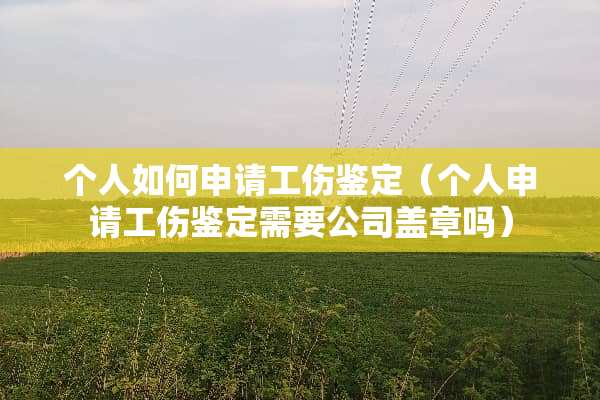 个人如何申请工伤鉴定（个人申请工伤鉴定需要公司盖章吗）