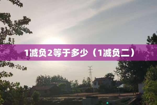 1减负2等于多少（1减负二）