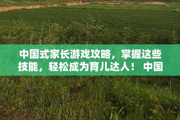 中国式家长游戏攻略，掌握这些技能，轻松成为育儿达人！ 中国式家长技能