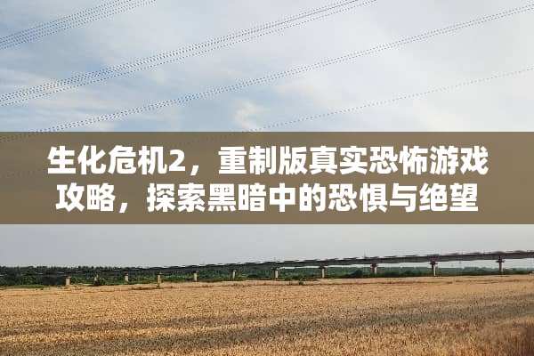 生化危机2，重制版真实恐怖游戏攻略，探索黑暗中的恐惧与绝望 真实恐怖游戏攻略