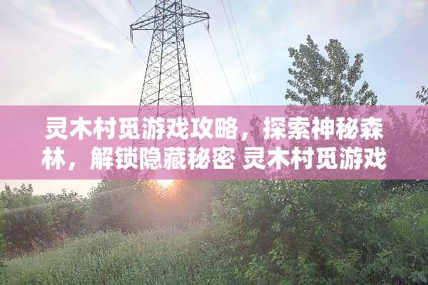 灵木村觅游戏攻略，探索神秘森林，解锁隐藏秘密 灵木村觅游戏攻略