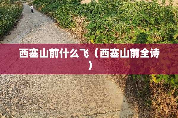 西塞山前什么飞（西塞山前全诗）