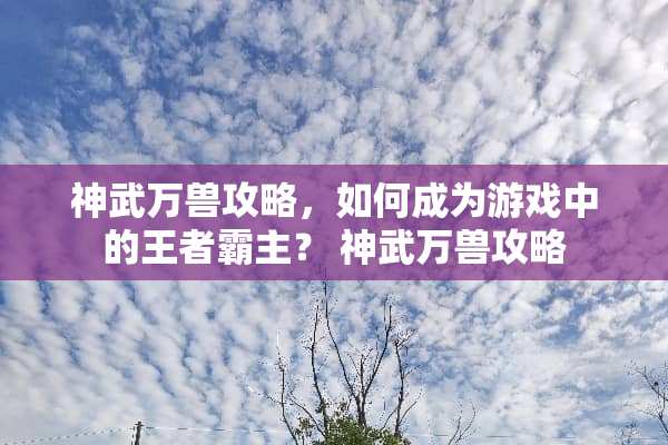 神武万兽攻略，如何成为游戏中的王者霸主？ 神武万兽攻略