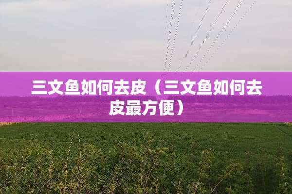 三文鱼如何去皮（三文鱼如何去皮最方便）