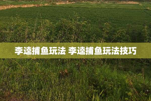 李逵捕鱼玩法 李逵捕鱼玩法技巧