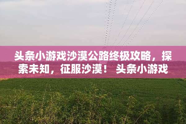 头条小游戏沙漠公路终极攻略，探索未知，征服沙漠！ 头条小游戏沙漠公路攻略