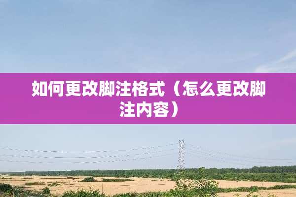 如何更改脚注格式（怎么更改脚注内容）