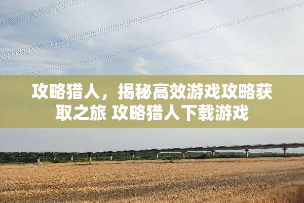 攻略猎人，揭秘高效游戏攻略获取之旅 攻略猎人下载游戏