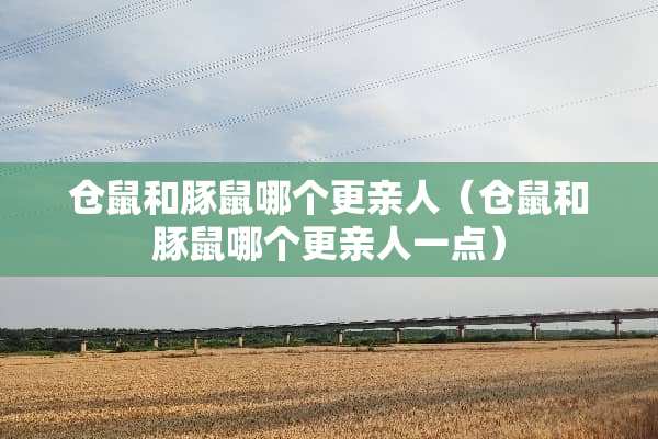 仓鼠和豚鼠哪个更亲人（仓鼠和豚鼠哪个更亲人一点）