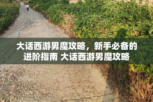 大话西游男魔攻略，新手必备的进阶指南 大话西游男魔攻略