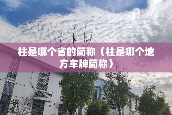柱是哪个省的简称(柱是哪个地方车牌简称) 柱是哪个省的简称(柱是哪个地方车牌简称)