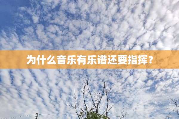 为什么音乐有乐谱还要指挥？