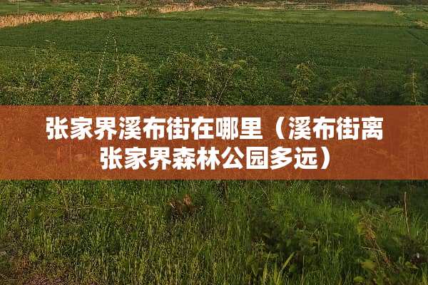 张家界溪布街在哪里（溪布街离张家界森林公园多远）