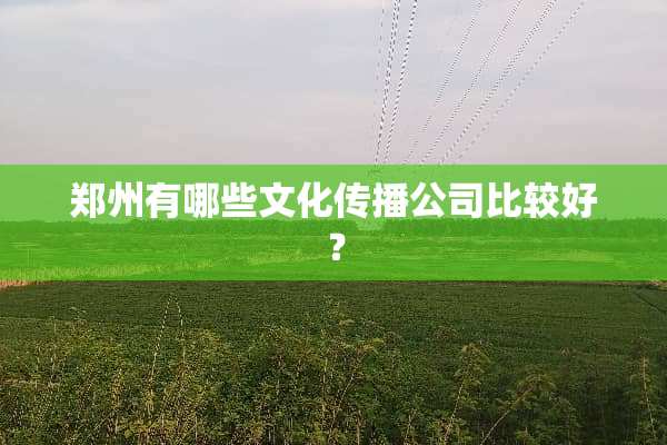 郑州有哪些文化传播公司比较好？